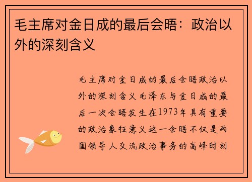毛主席对金日成的最后会晤：政治以外的深刻含义
