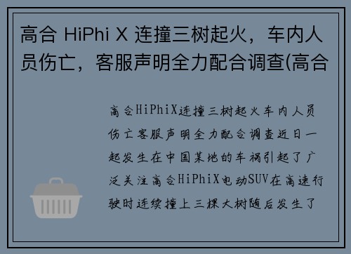 高合 HiPhi X 连撞三树起火，车内人员伤亡，客服声明全力配合调查(高合hiphix百度百科)