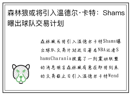 森林狼或将引入温德尔·卡特：Shams曝出球队交易计划